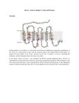 Review Activity Module 2: Cells and Division Laroche: