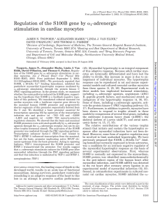 Regulation of the S100B gene by α1-adrenergic - AJP