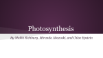 Photosynthesis - Science Leadership Academy