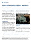 Intercropping, Crop Diversity and Pest Management1