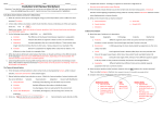 Evolution Unit Review Worksheet