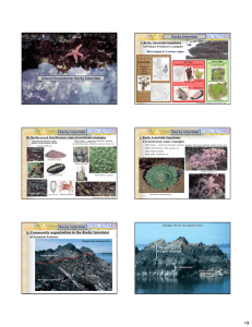 Littoral Ecosystems