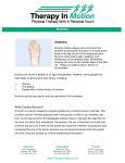 Anatomy: Bunions Norman Newcastle Purcell