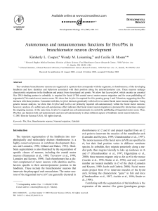 Autonomous and nonautonomous functions for Hox/Pbx in