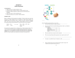 EXERCISE 7 Cellular Respiration