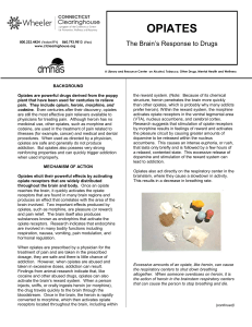 Opiates: The Brain`s Response To Drugs