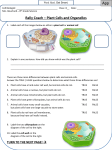 Rally Coach – Plant Cells and Organelles App
