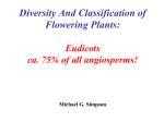 Diversity And Classification of Flowering Plants: