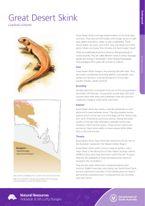 Great Desert Skink - Natural Resources South Australia