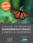 Guide to Growing an Environmentally