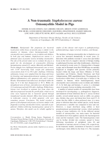 Case 2 - Scand