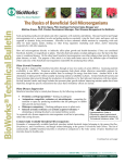 Beneficial Soil Microorganisms