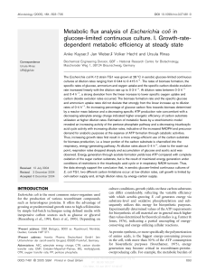 Metabolic flux analysis of Escherichia coli in glucose