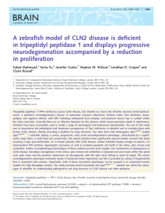 A zebrafish model of CLN2 disease is deficient in
