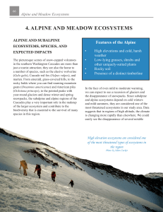 4. alpine and meadow ecosystems