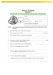 Science 10-Biology Activity 7 Worksheet on Photosynthesis and