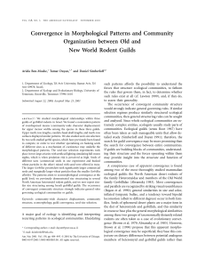 Convergence in Morphological Patterns and Community