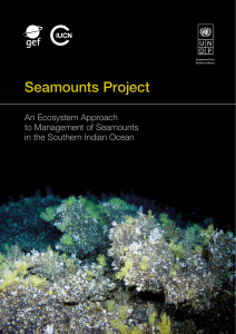 Seamounts Project
