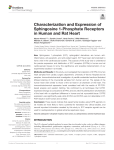 Characterization and Expression of Sphingosine 1