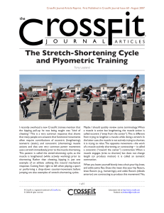 The Stretch-Shortening Cycle and Plyometric Training