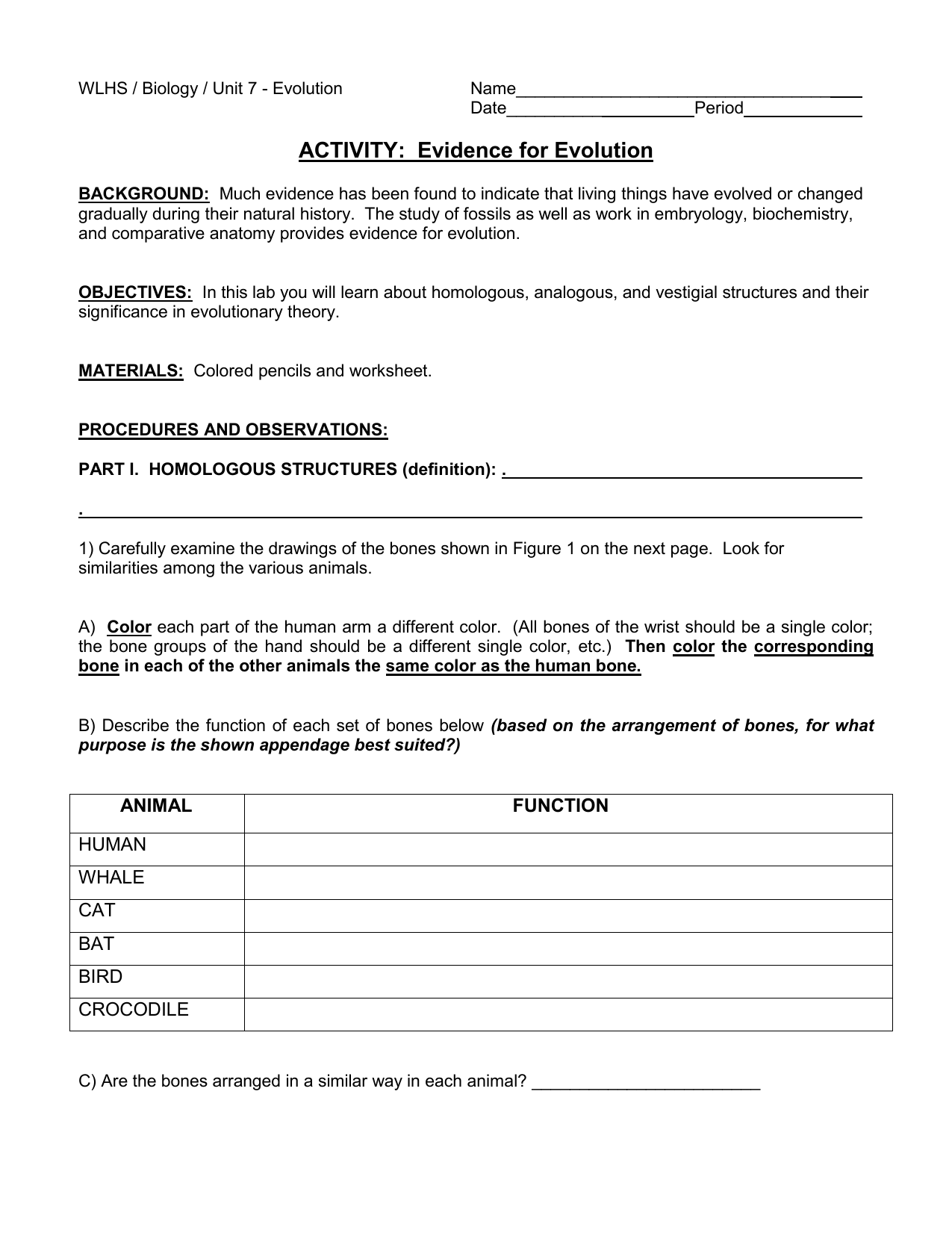 ACTIVITY: Evidence for Evolution With Evidence Of Evolution Worksheet Answers