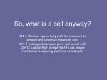So, what is a cell anyway?