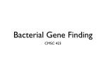 Bacterial Gene Finding