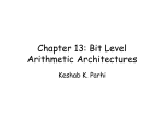 Chapter 13: Bit Level Arithmetic Architectures