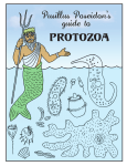 Pusillus Poseidon`s Guide to Protozoa