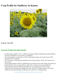 Crop Profile for Sunflower in Kansas