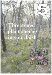 Threatened plant species in your bush