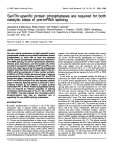 Ser/Thr-specific protein phosphatases are