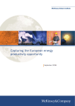 Capturing the European energy productivity opportunity