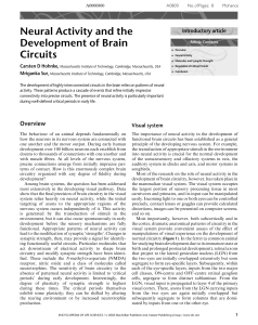 Neural Activity and the Development of Brain Circuits