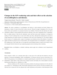 Changes in the Si/P weathering ratio and their effect on the selection