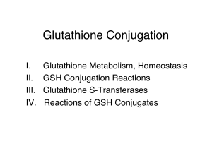 Glutathione Conjugation
