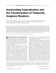Accelerating Tropicalization and the Transformation of Temperate