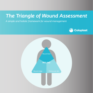 The Triangle of Wound Assessment