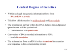 Central Dogma of Genetics