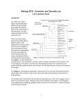 Biology 2015 – Evolution and Diversity Lab