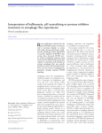 Interpretation of bafilomycin, pH neutralizing or protease inhibitor