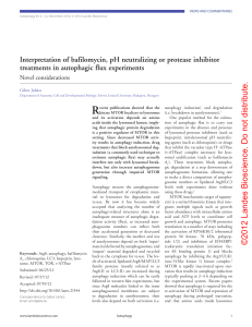 Interpretation of bafilomycin, pH neutralizing or protease inhibitor