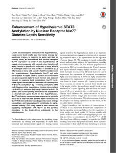 Enhancement of Hypothalamic STAT3 Acetylation by