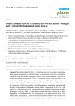 Sulfite Oxidase Activity Is Essential for Normal Sulfur, Nitrogen and