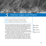 05/Marine Algae and Plants