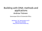 Building with DNA: methods and applications
