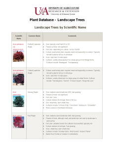 Landscape Trees by Scientific Name