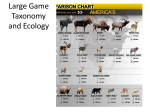 Lecture 14: Large Game Taxonomy