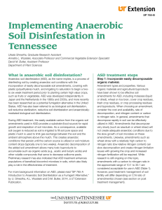Implementing Anaerobic Soil Disinfestation in Tennessee SP 765-B
