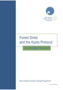 Forest Sinks and the Kyoto Protocol